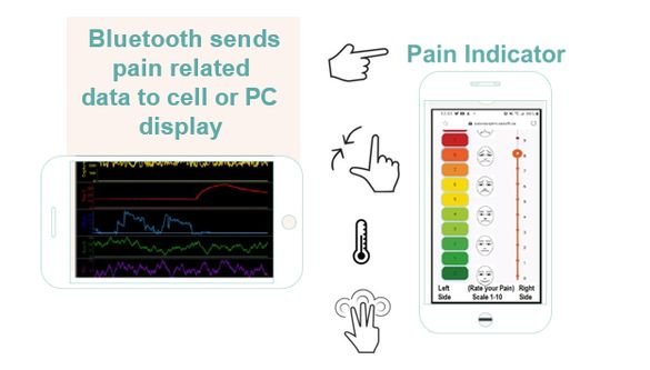 Pain indicator